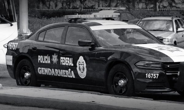 Policía Federal